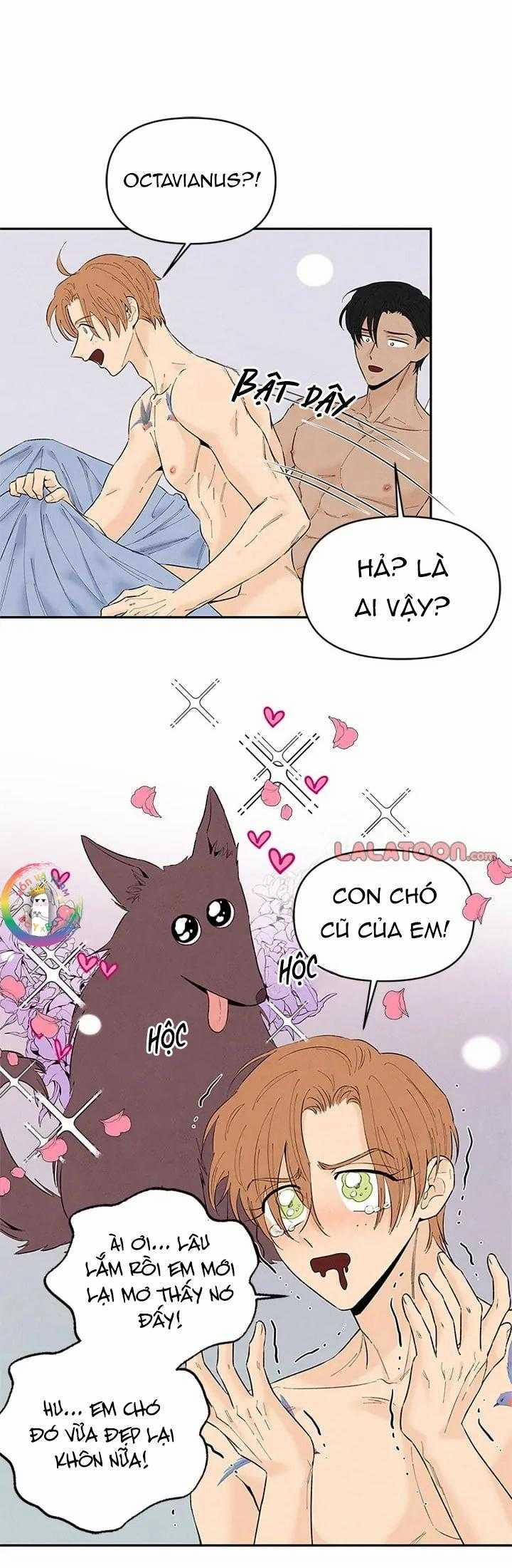 Bona Sort 71 trang 9