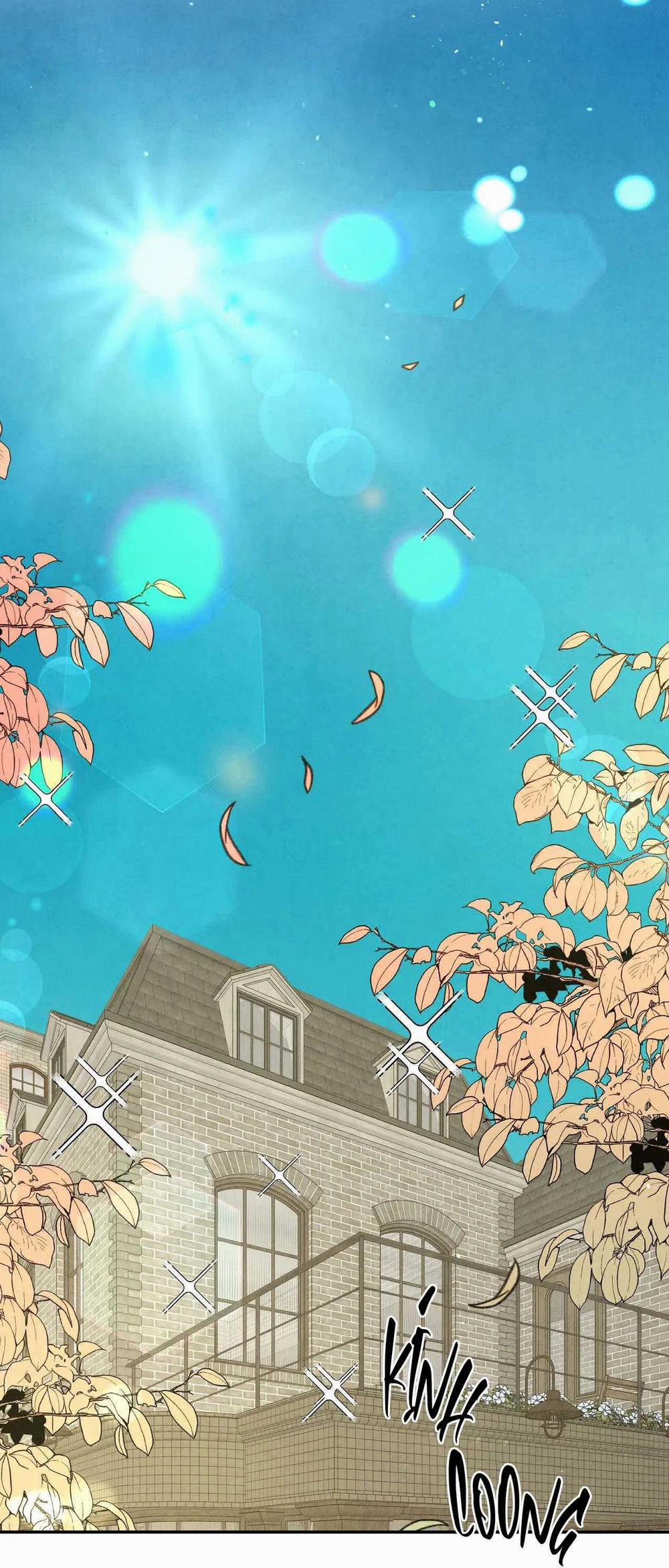 Bona Sort 73 trang 19