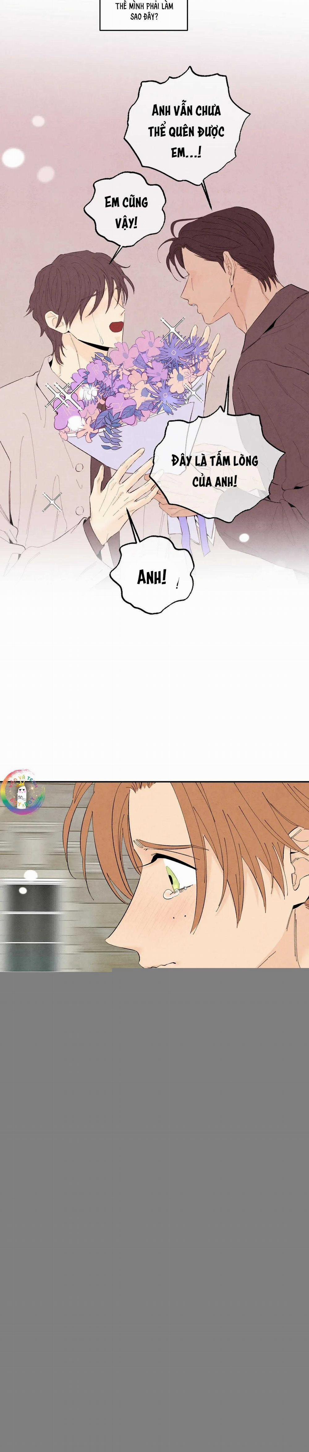 Bona Sort 75 trang 8