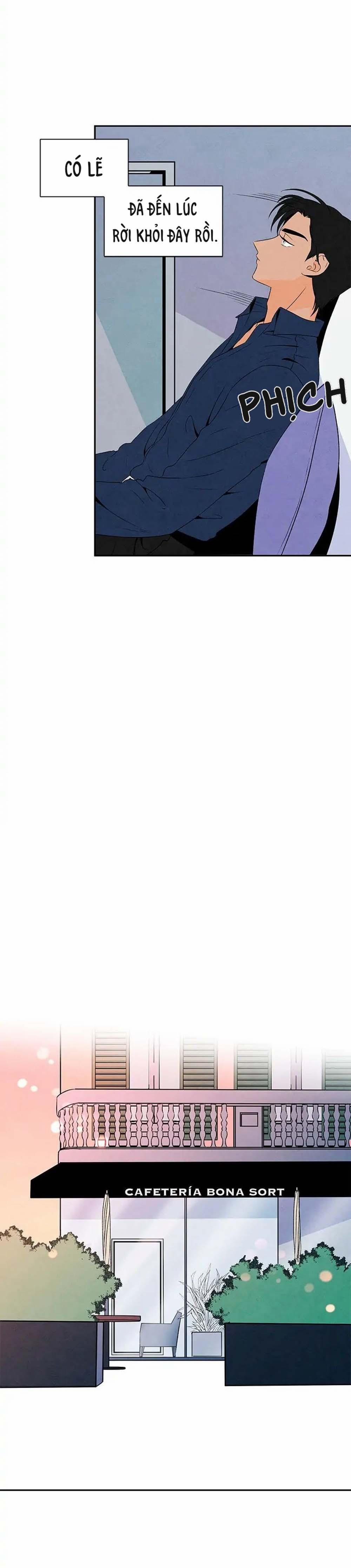 Bona Sort 8 trang 13