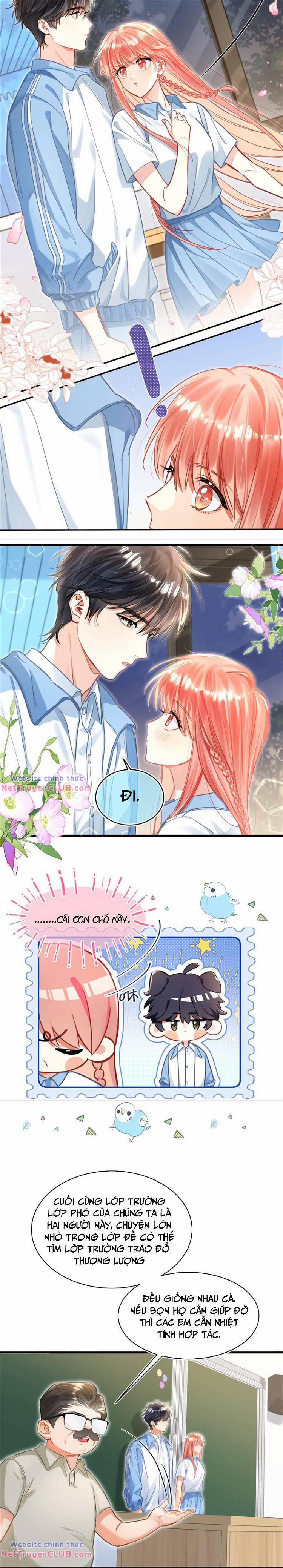 Bong Bóng Đào Chi 13 trang 3