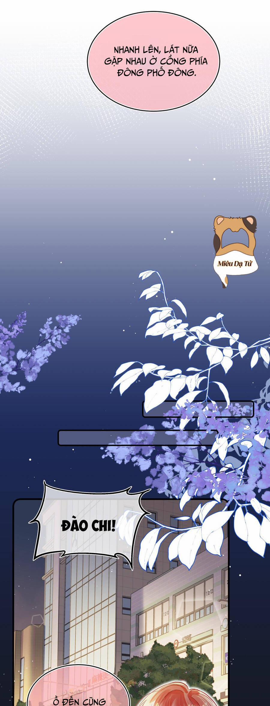 Bong Bóng Đào Chi 14 trang 8