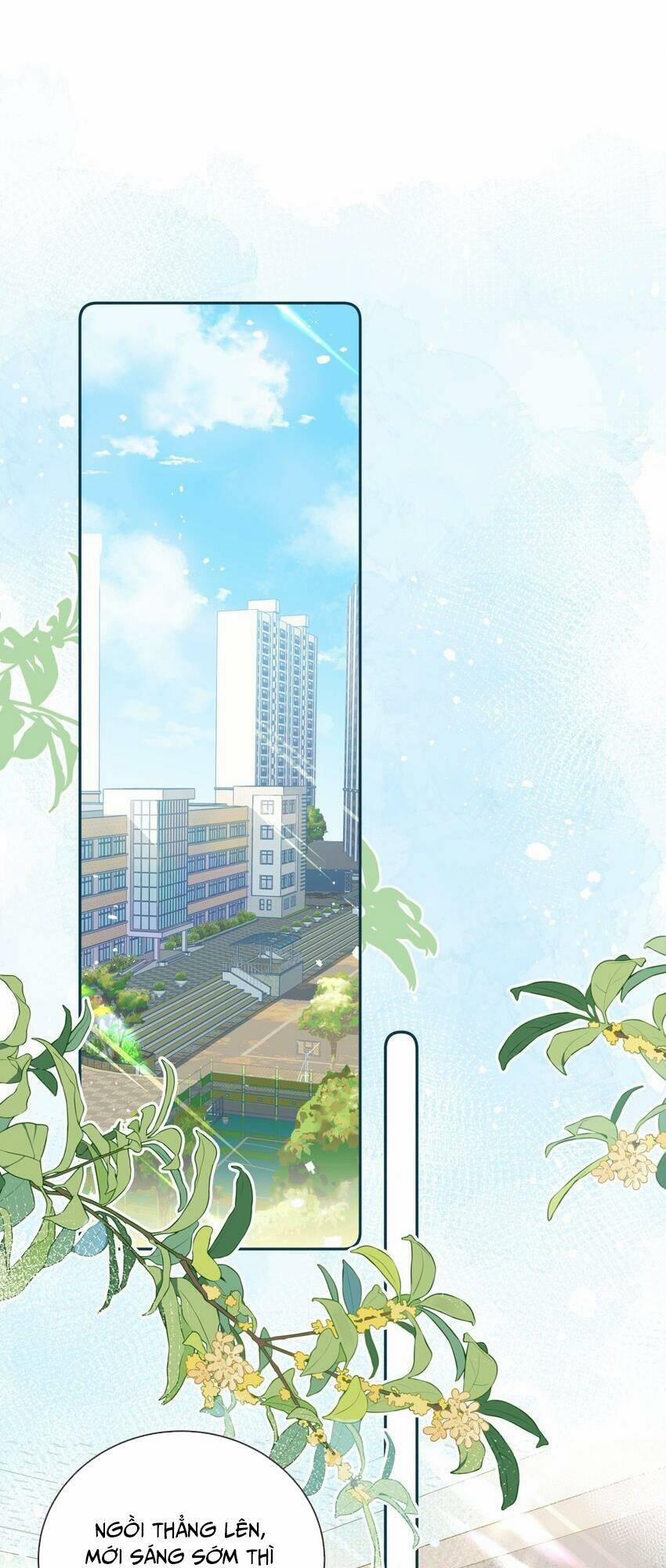 Bong Bóng Đào Chi 6 trang 11