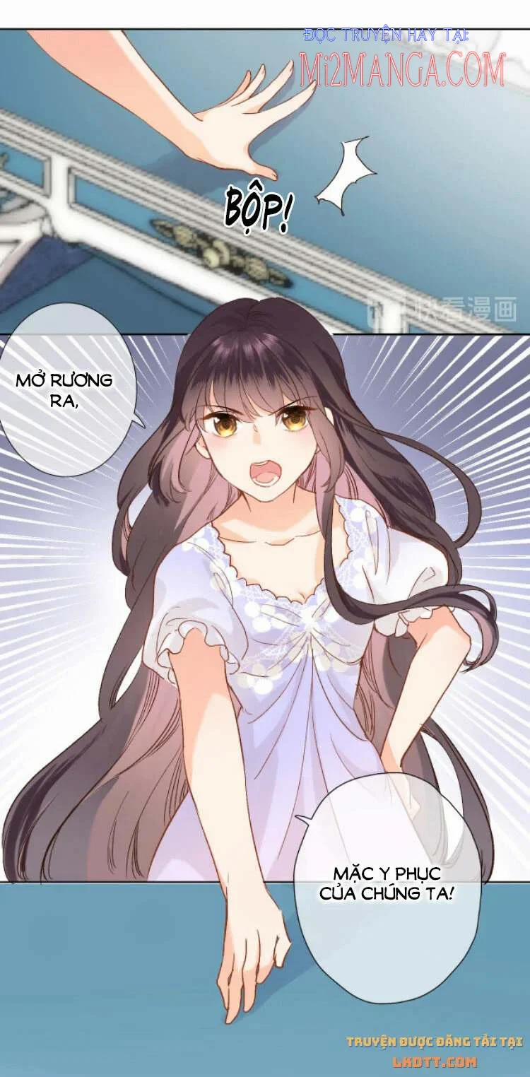 Bông Hoa Đi Ngang Qua Thế Giới 12 trang 25