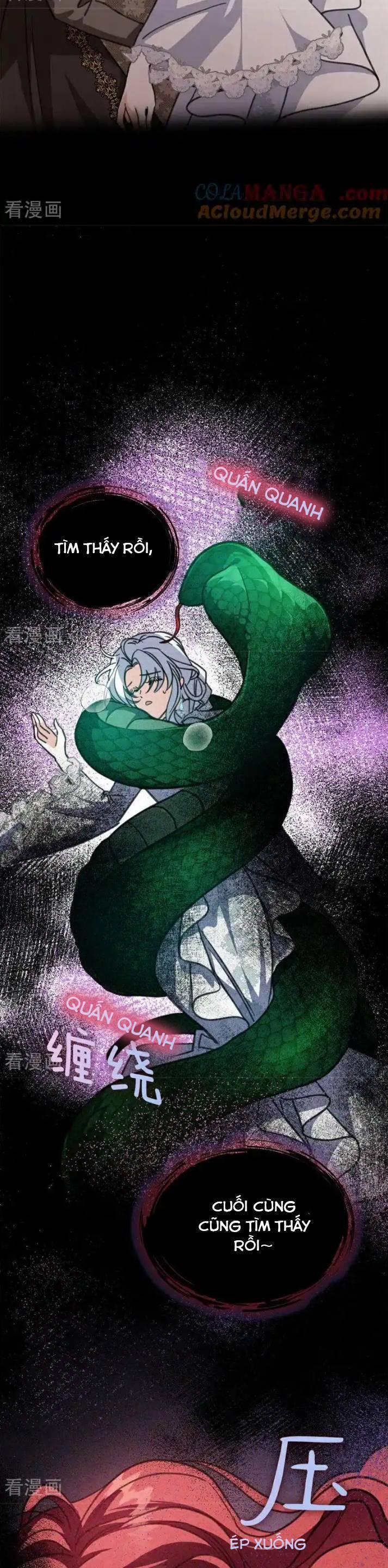 Bông Hoa Độc Của Nhà Công Tước 44 trang 17