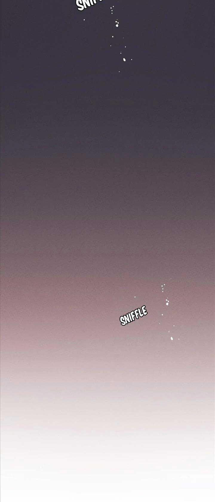 Bóng Ma Của Nhà Hát Opera 5 trang 26