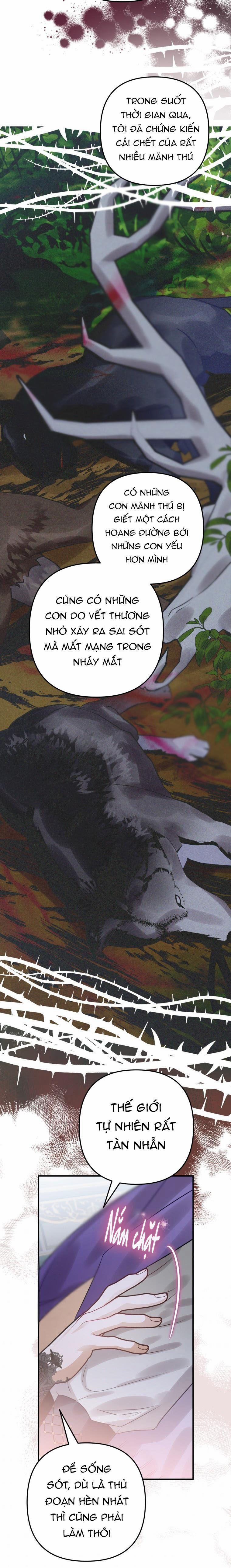 Bỗng Nhiên Tôi Trở Thành Quạ Đen!! 23 trang 12