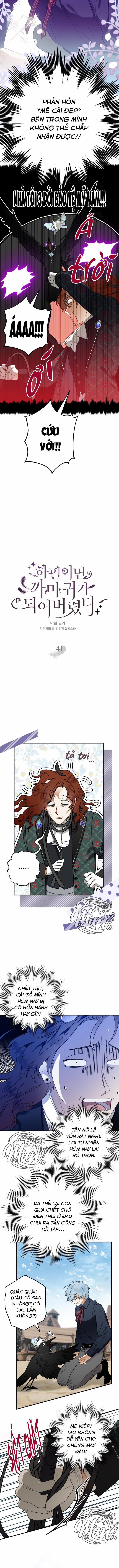 Bỗng Nhiên Tôi Trở Thành Quạ Đen!! 41 trang 3