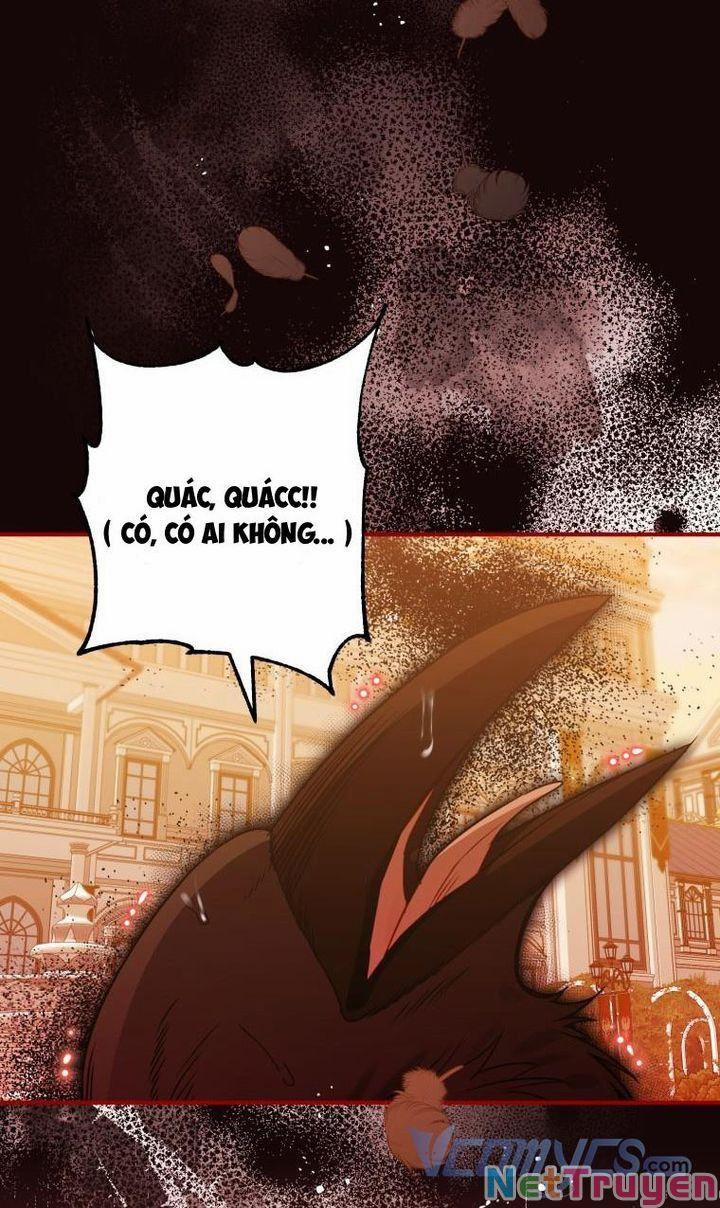 Bỗng Nhiên Tôi Trở Thành Quạ Đen!! 51 trang 1