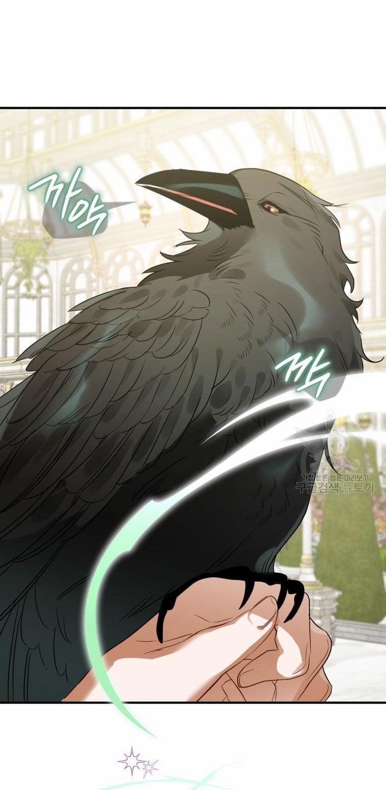 Bỗng Nhiên Tôi Trở Thành Quạ Đen!! 65 trang 14