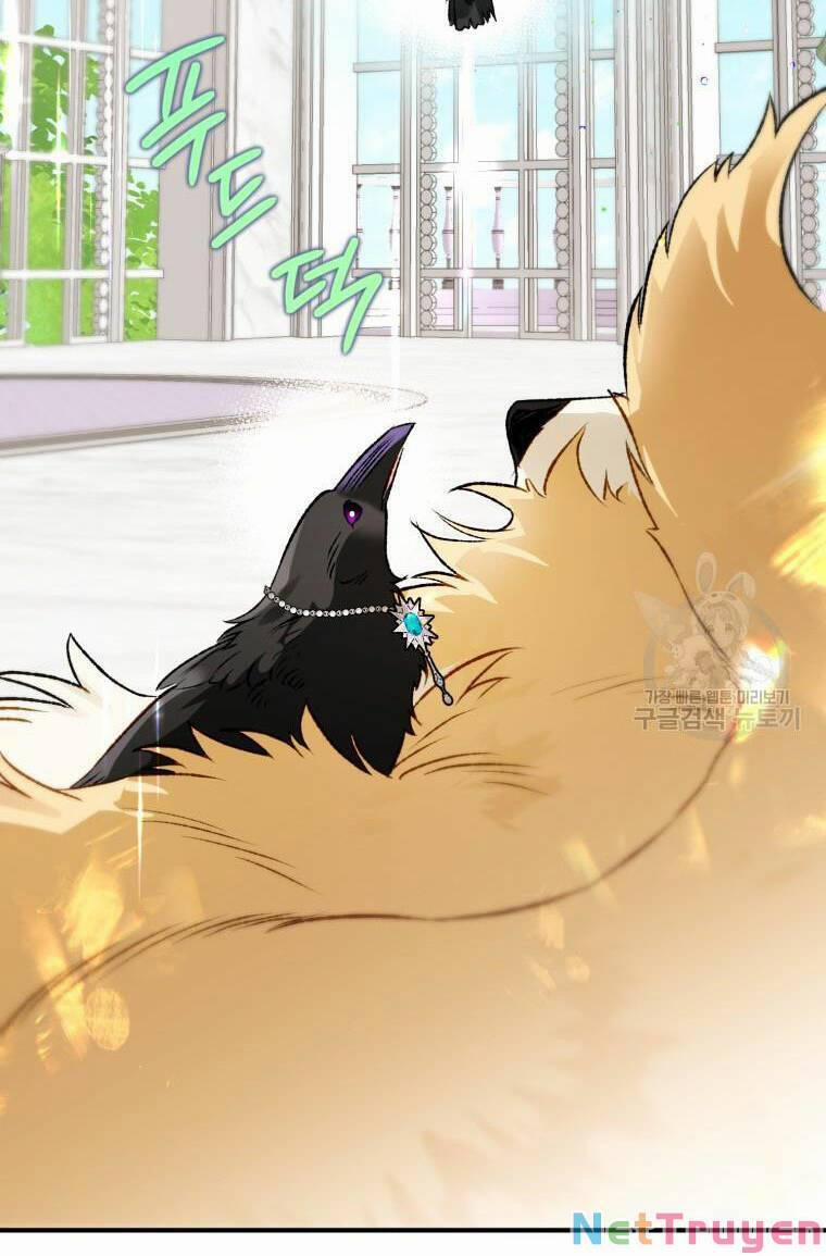 Bỗng Nhiên Tôi Trở Thành Quạ Đen!! 69 trang 6