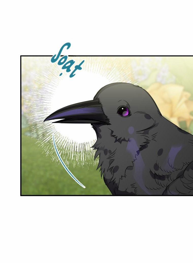 Bỗng Nhiên Tôi Trở Thành Quạ Đen!! 8 trang 9