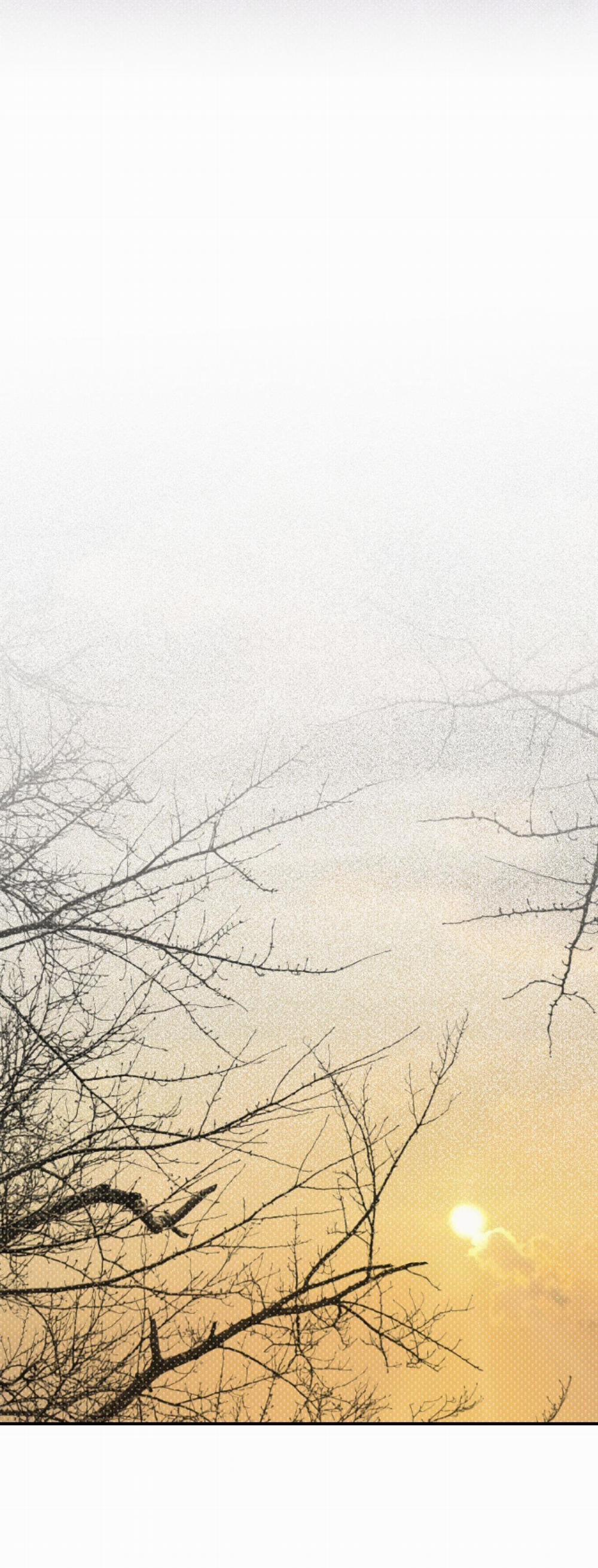 Bóng Rắn Dưới Ánh Trăng 10 trang 40