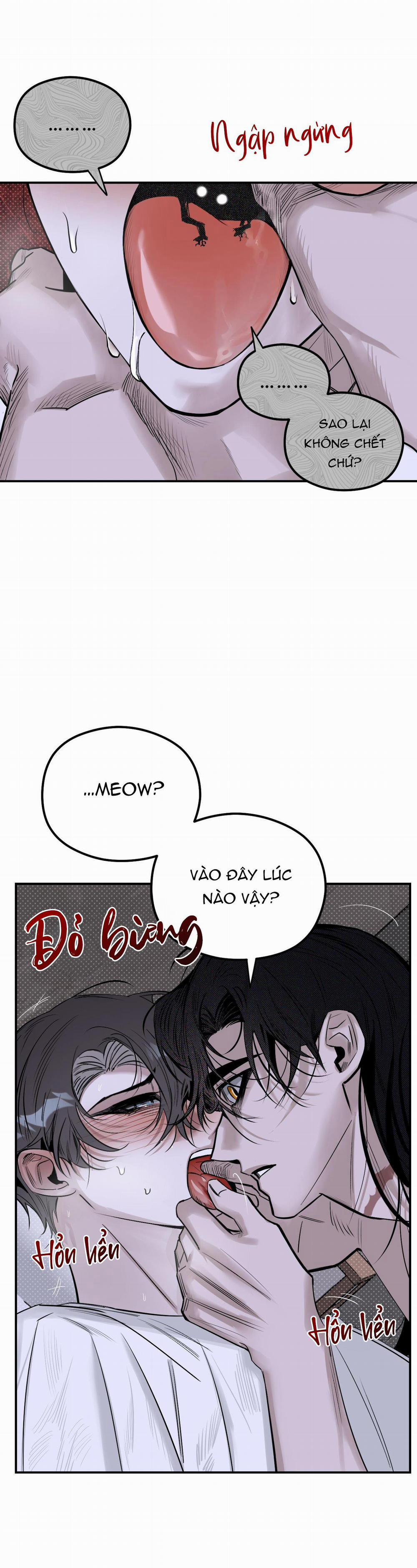 Bóng Rắn Dưới Ánh Trăng 10 trang 6