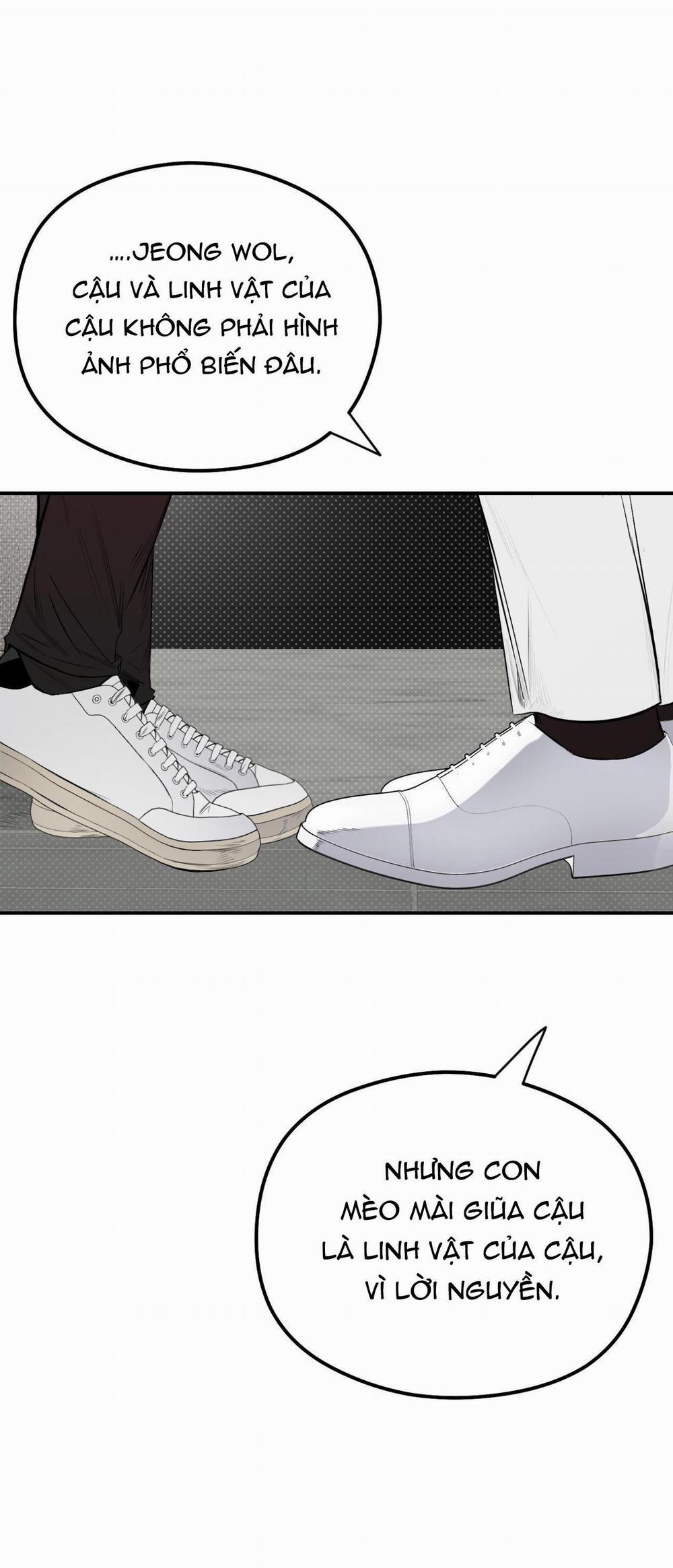 Bóng Rắn Dưới Ánh Trăng 11 trang 13