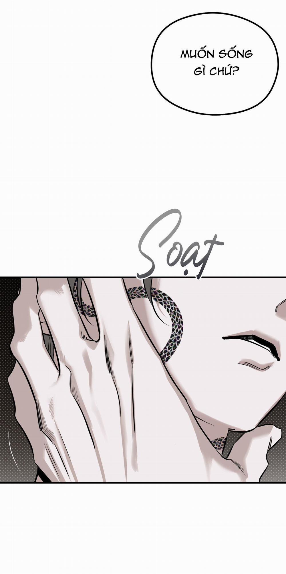 Bóng Rắn Dưới Ánh Trăng 11 trang 27