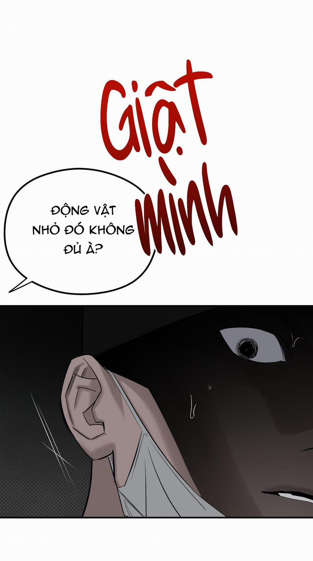 Bóng Rắn Dưới Ánh Trăng 11 trang 33