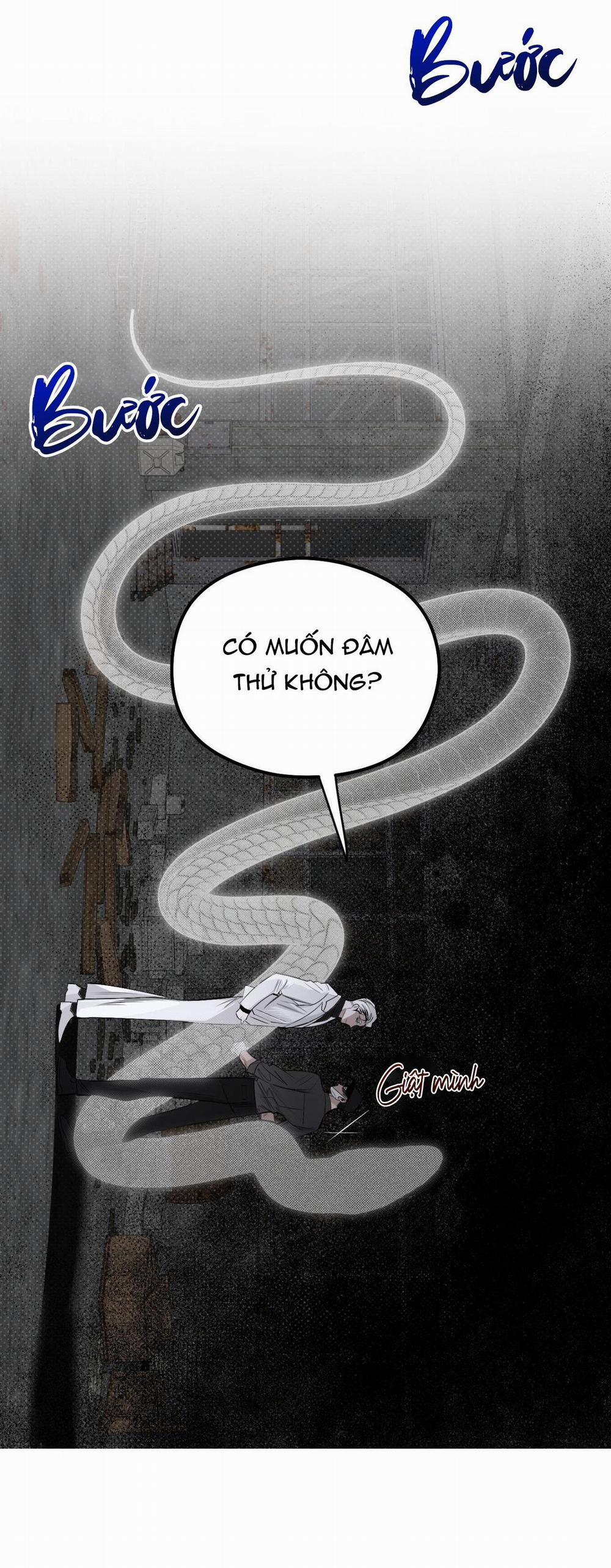 Bóng Rắn Dưới Ánh Trăng 11 trang 37