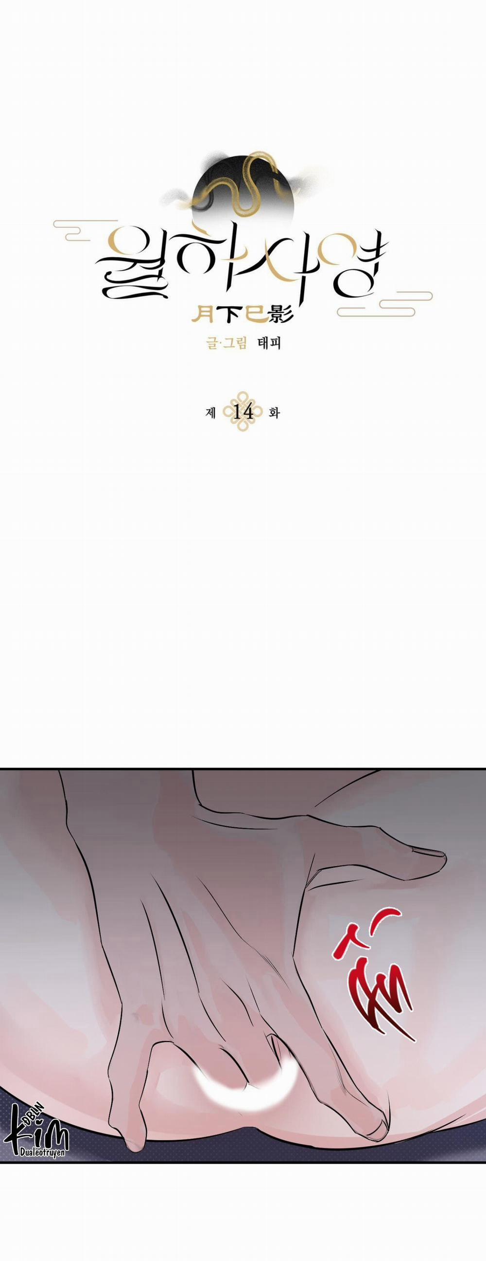 Bóng Rắn Dưới Ánh Trăng 14 trang 0