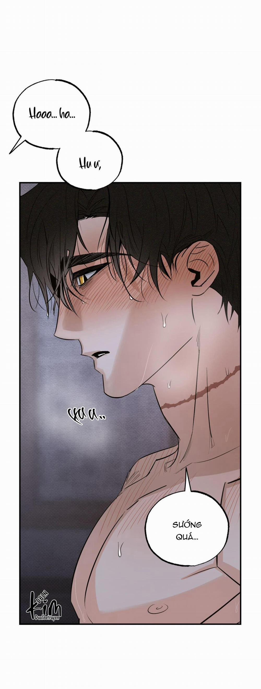 Bóng Rắn Dưới Ánh Trăng 14 trang 13