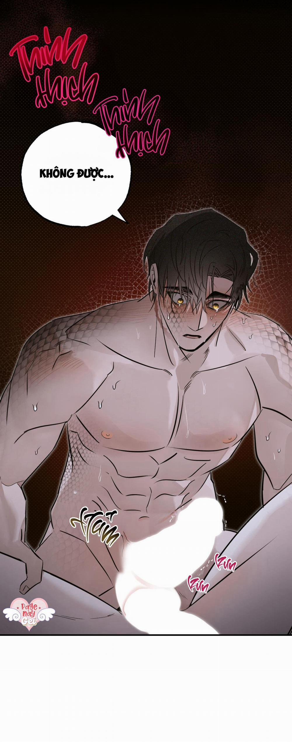 Bóng Rắn Dưới Ánh Trăng 14 trang 21