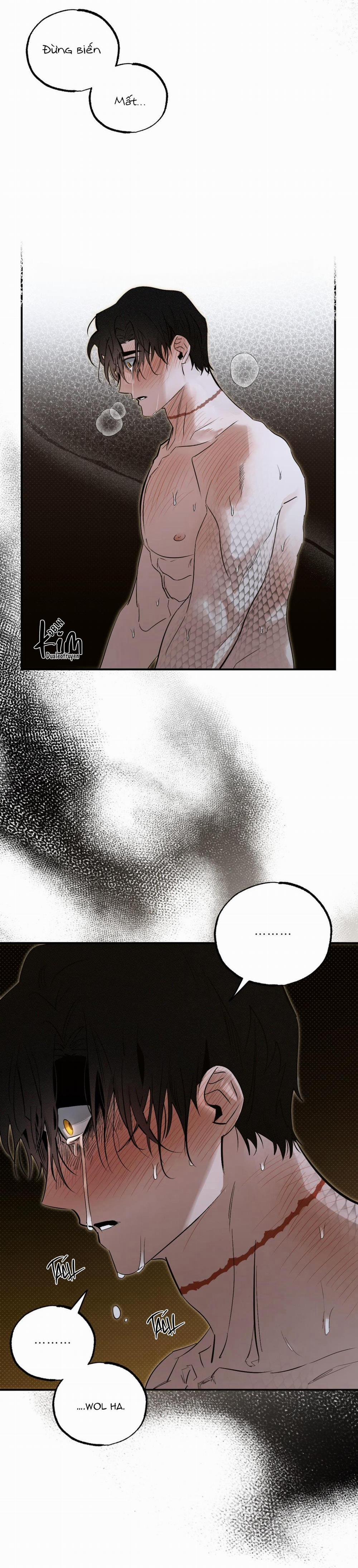 Bóng Rắn Dưới Ánh Trăng 14 trang 38