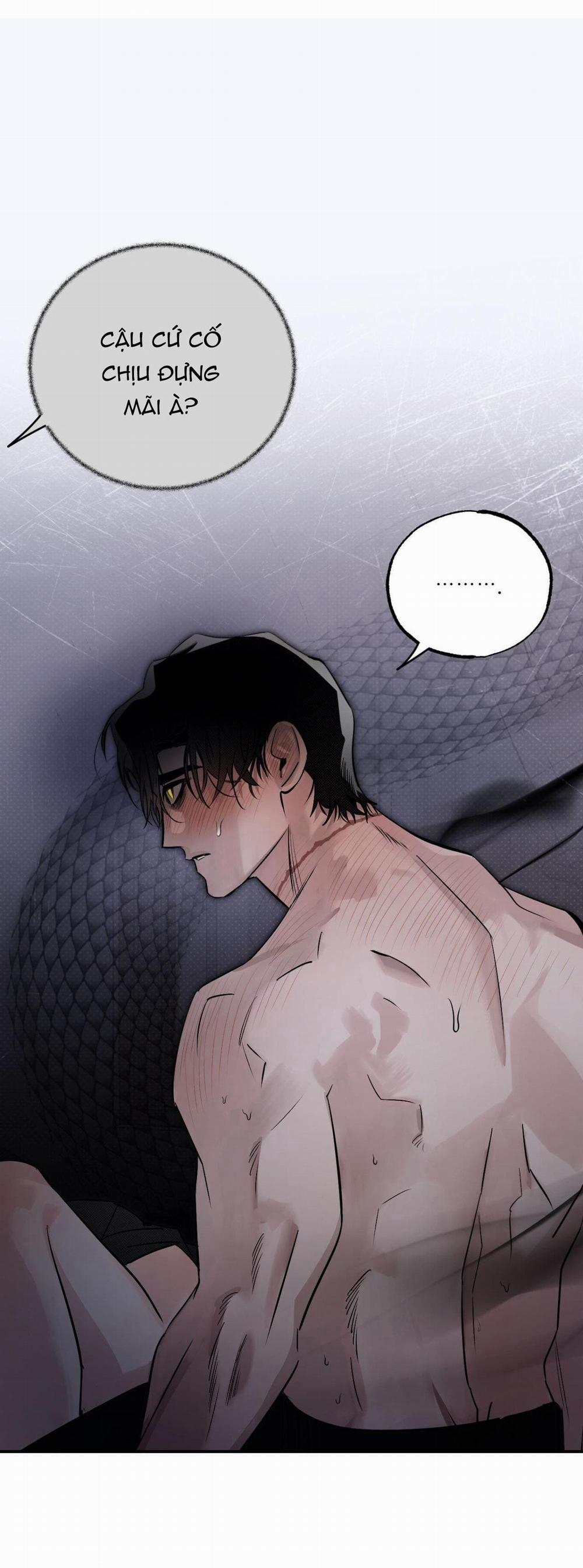 Bóng Rắn Dưới Ánh Trăng 14 trang 6