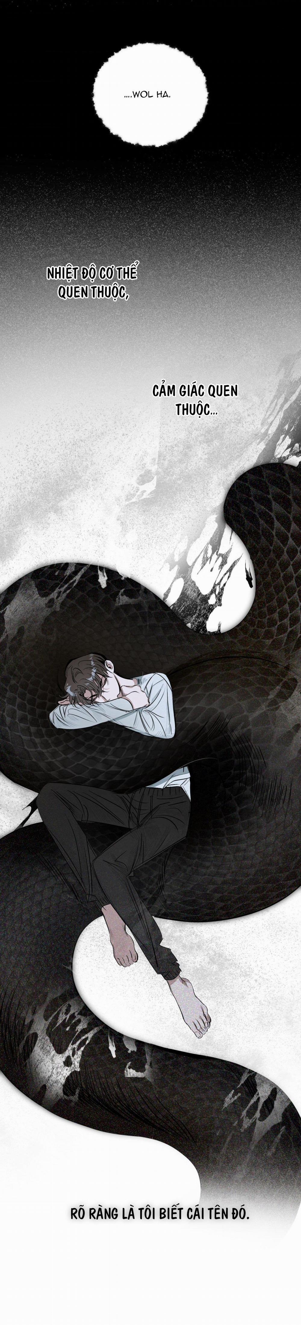 Bóng Rắn Dưới Ánh Trăng 4 trang 3