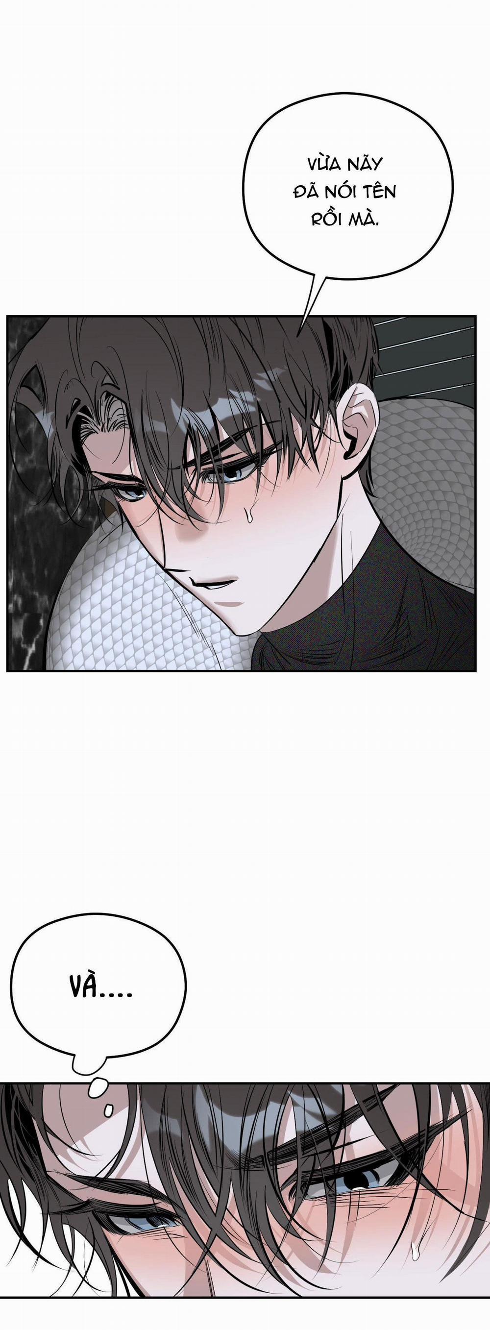 Bóng Rắn Dưới Ánh Trăng 6 trang 13