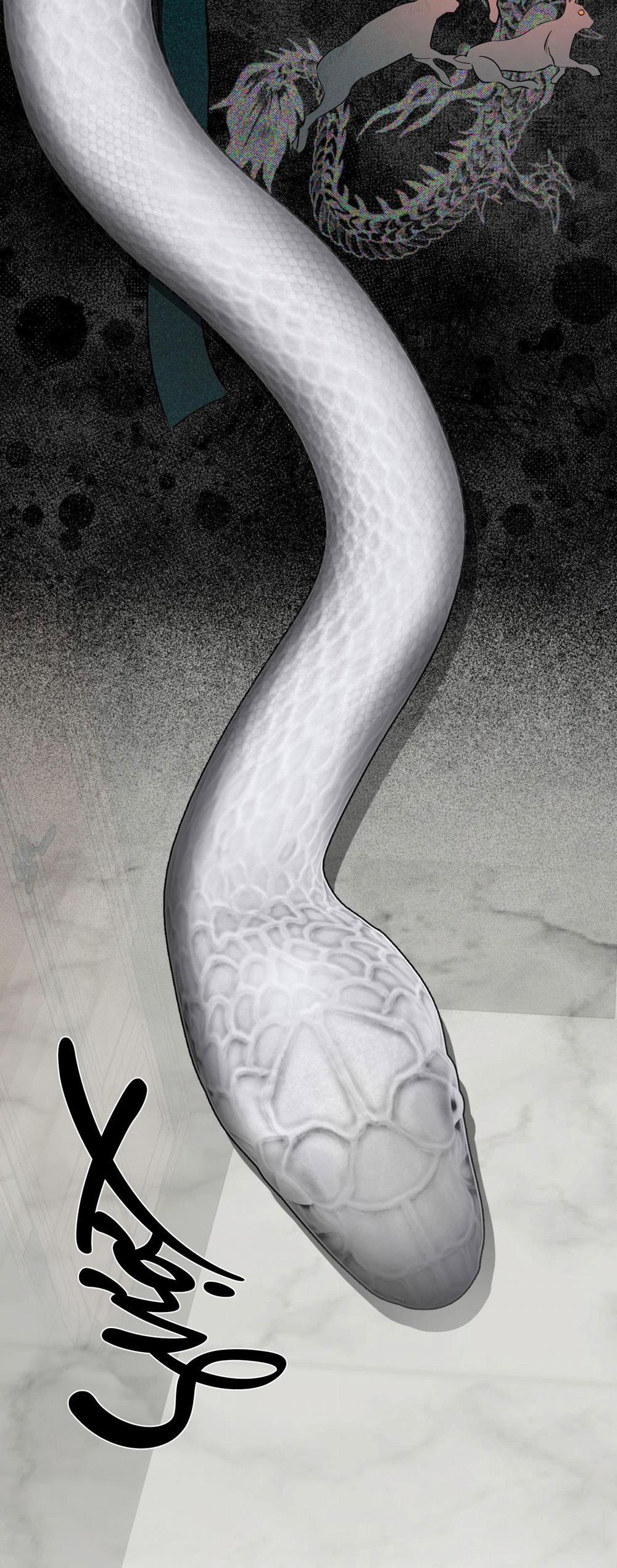 Bóng Rắn Dưới Ánh Trăng 6 trang 4