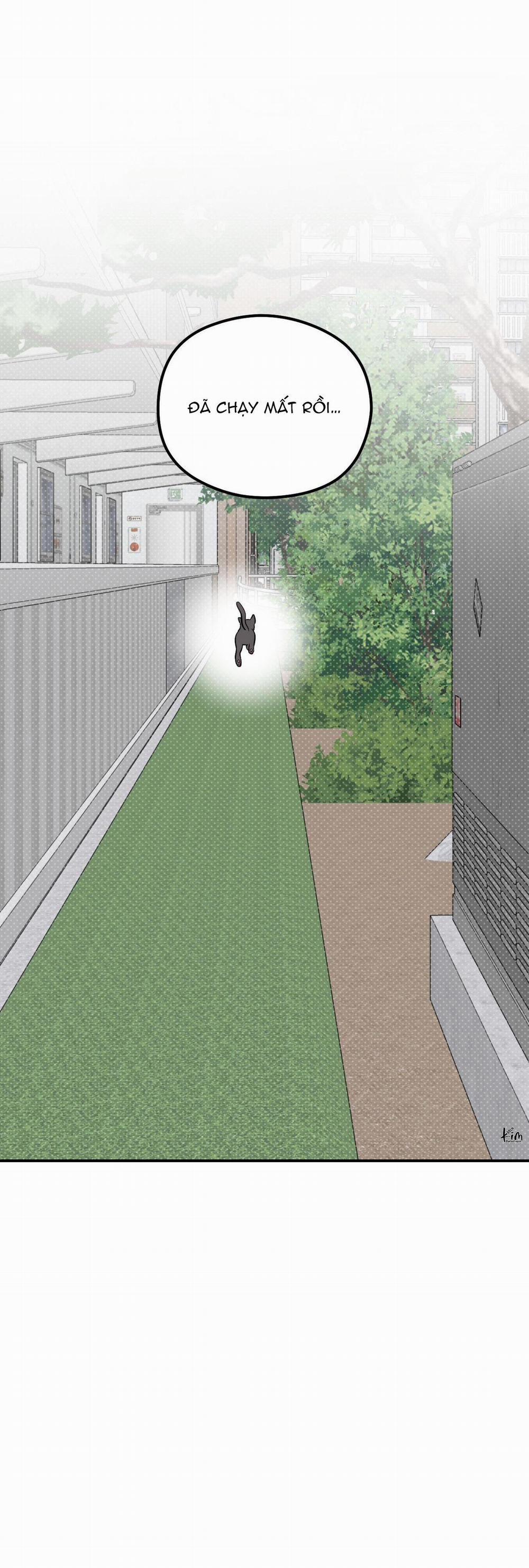 Bóng Rắn Dưới Ánh Trăng 9 trang 38