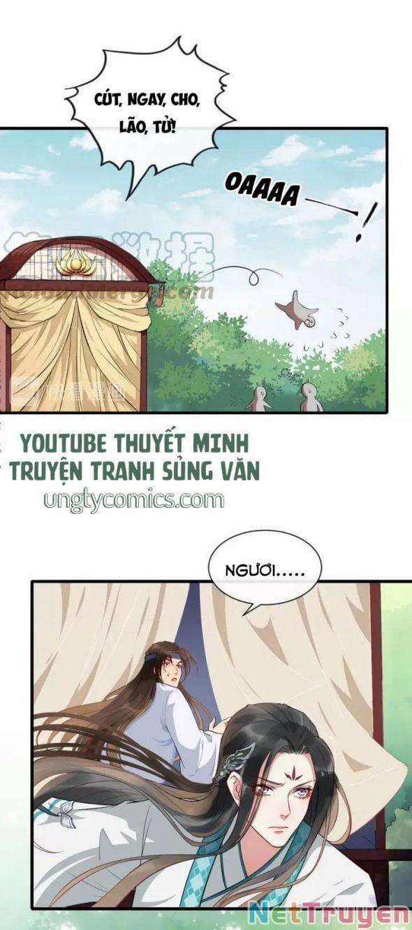 Bồng Sơn Viễn 2 10 trang 21