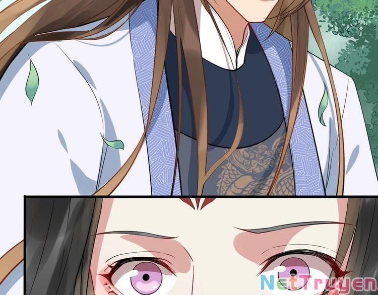 Bồng Sơn Viễn 2 11 trang 6