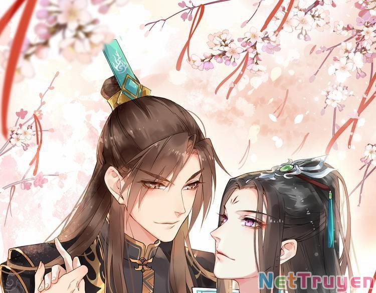 Bồng Sơn Viễn 2 13 trang 0