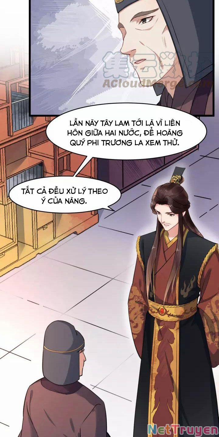 Bồng Sơn Viễn 2 16 trang 12