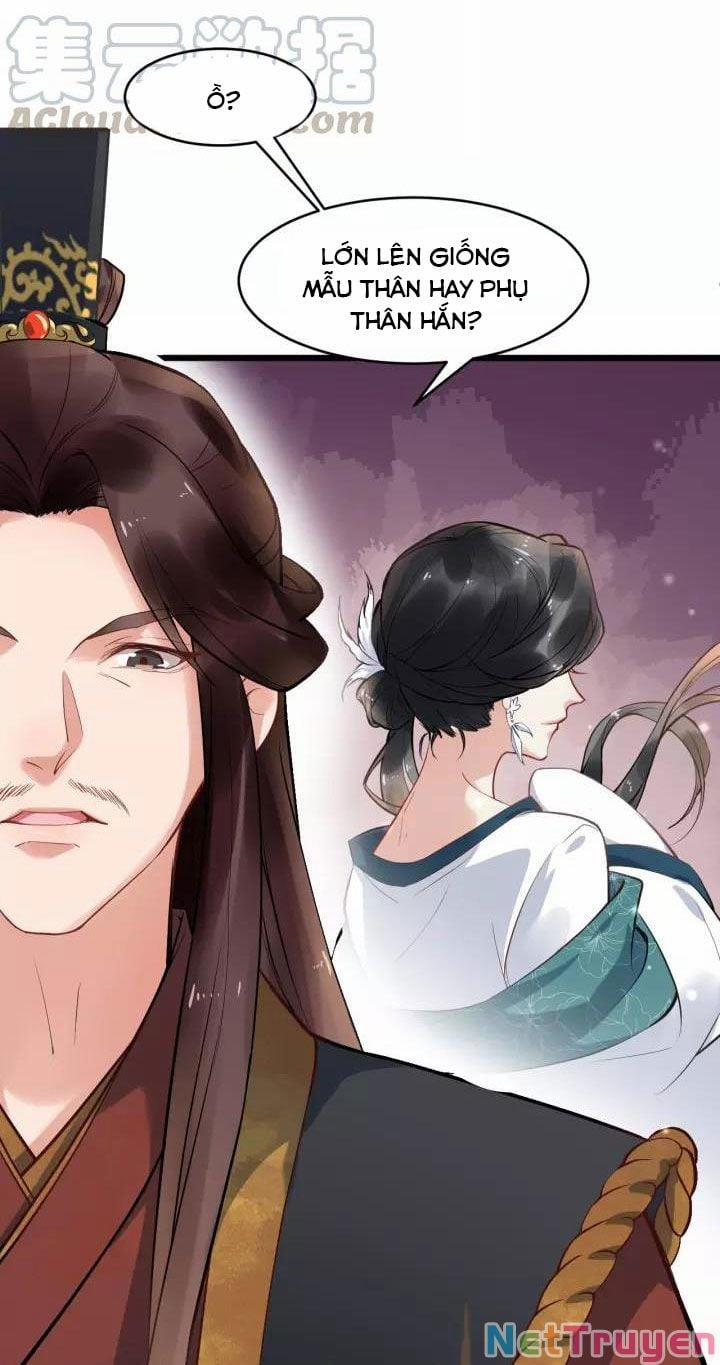 Bồng Sơn Viễn 2 16 trang 8