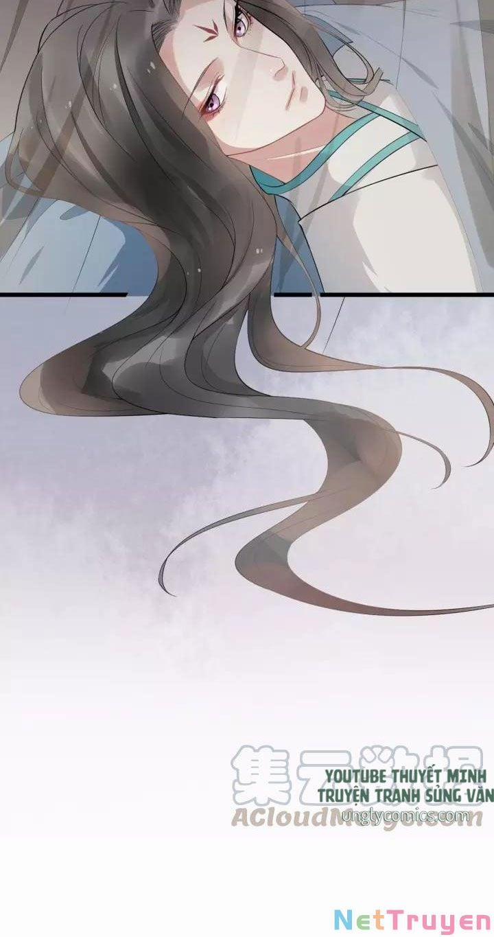 Bồng Sơn Viễn 2 17 trang 17