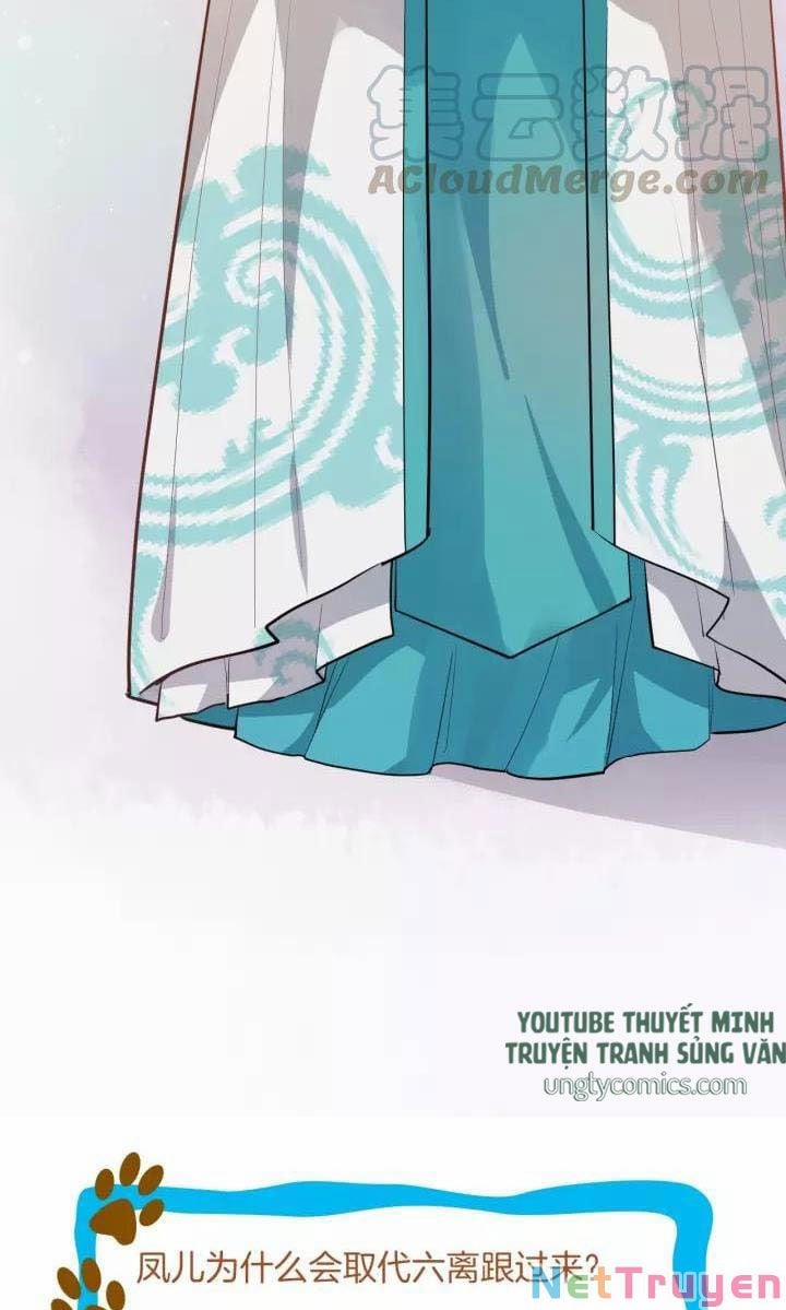 Bồng Sơn Viễn 2 17 trang 31