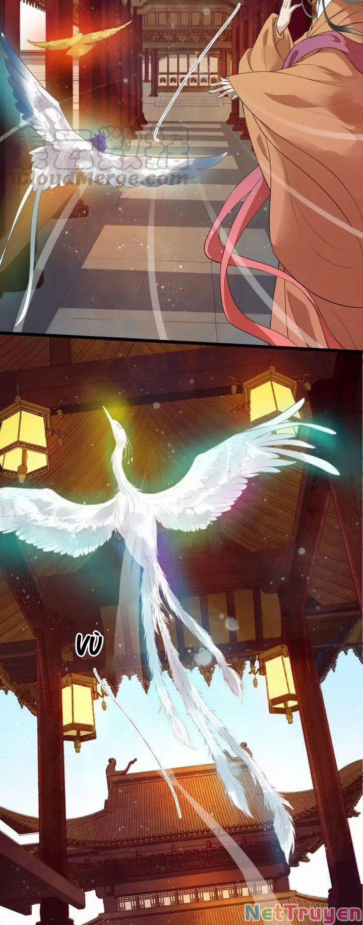 Bồng Sơn Viễn 2 18 trang 15