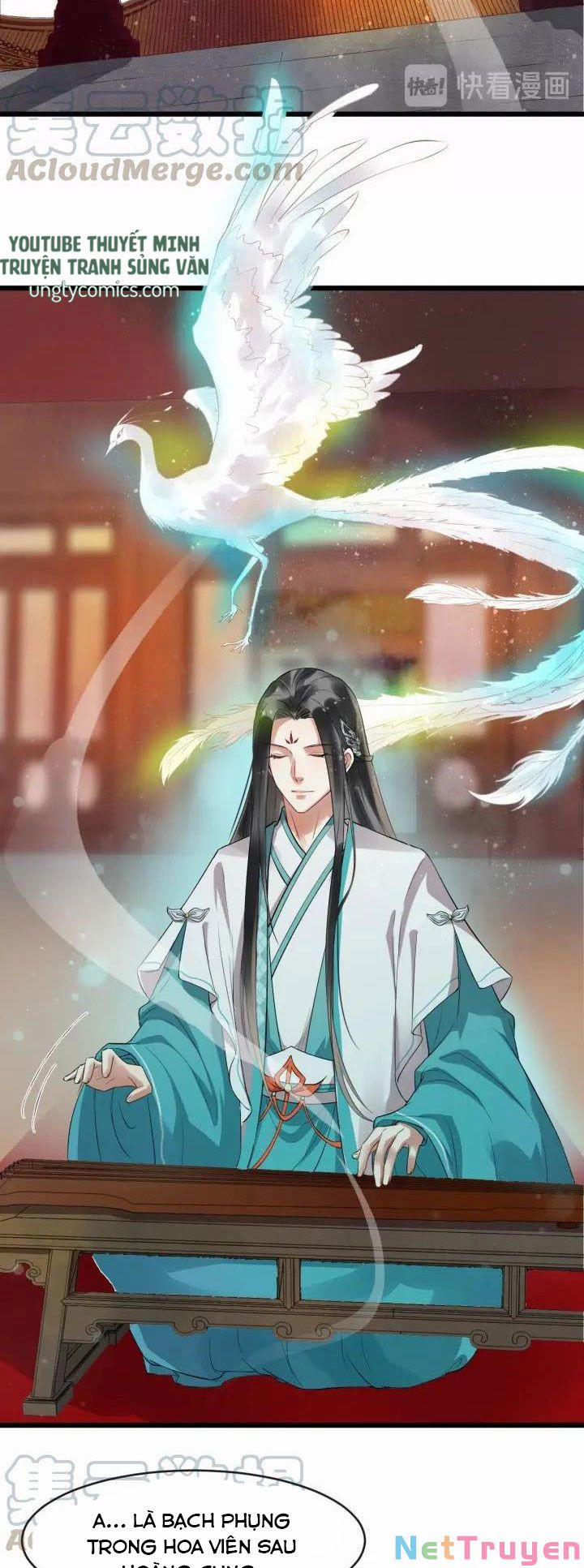 Bồng Sơn Viễn 2 18 trang 16