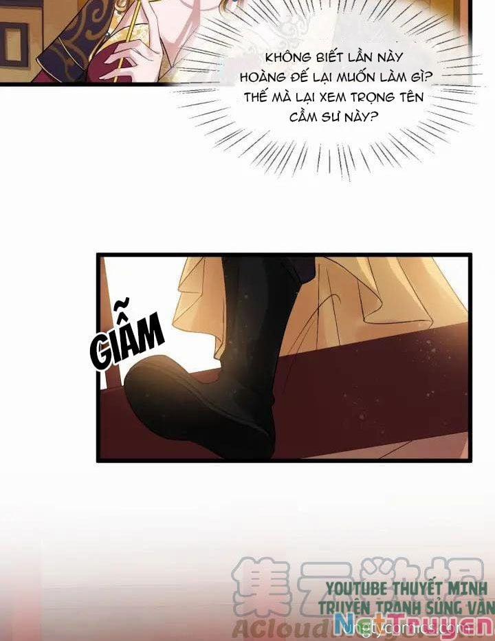 Bồng Sơn Viễn 2 19 trang 12