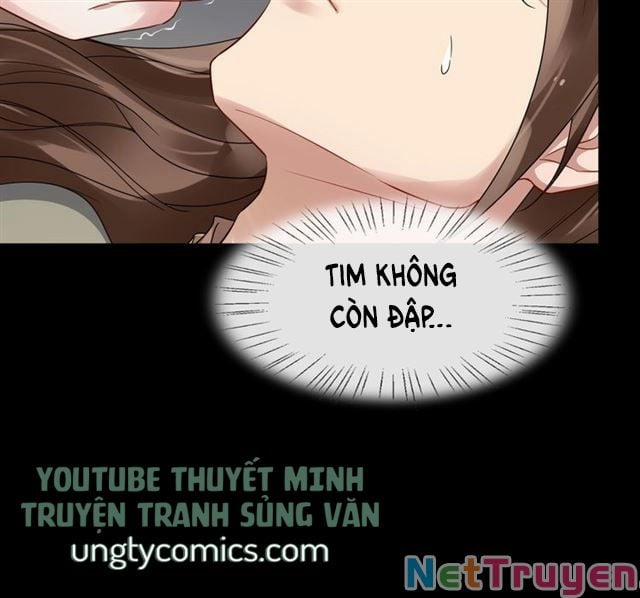 Bồng Sơn Viễn 2 28 trang 55