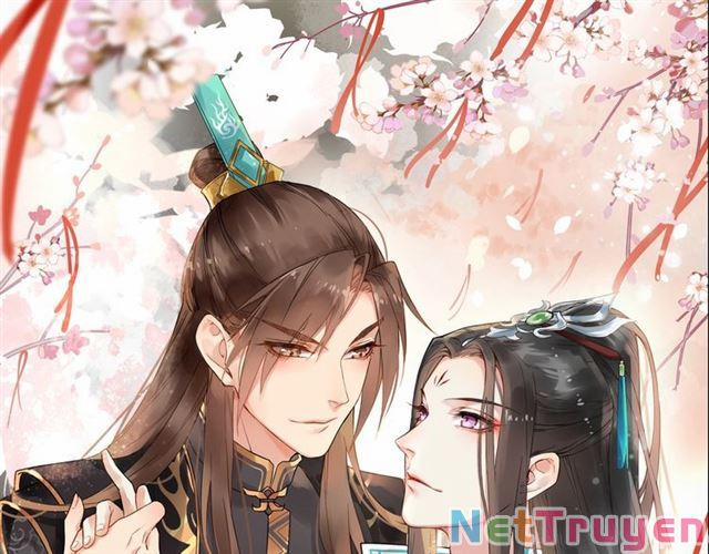 Bồng Sơn Viễn 2 29 trang 0