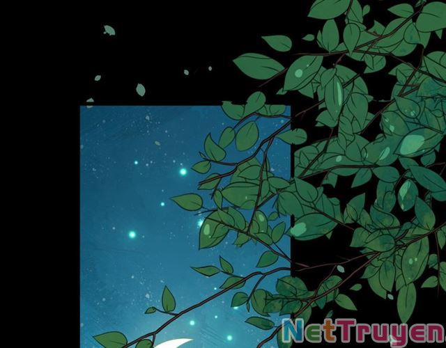 Bồng Sơn Viễn 2 29 trang 28