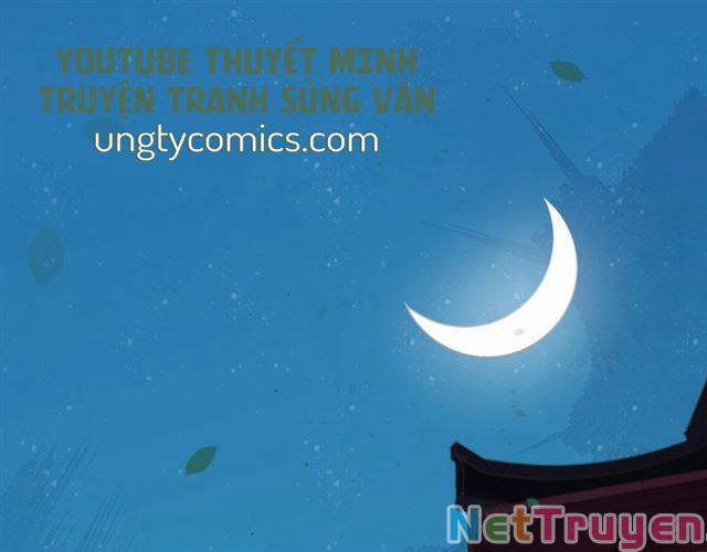 Bồng Sơn Viễn 2 29 trang 4