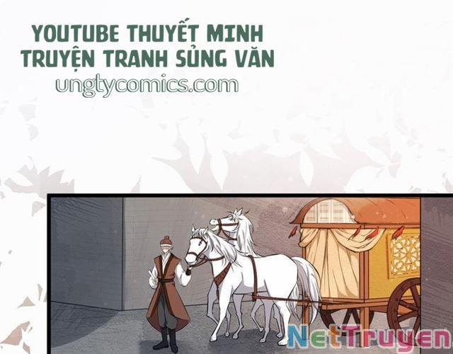 Bồng Sơn Viễn 2 29 trang 53