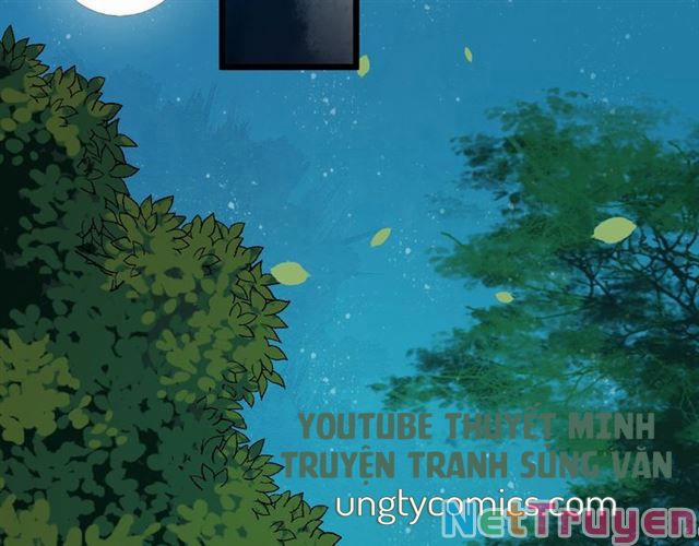 Bồng Sơn Viễn 2 30 trang 13