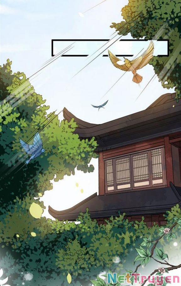 Bồng Sơn Viễn 2 31 trang 28