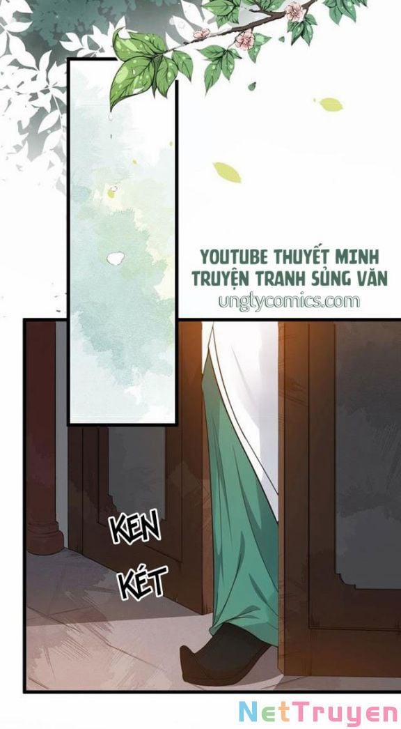 Bồng Sơn Viễn 2 31 trang 29