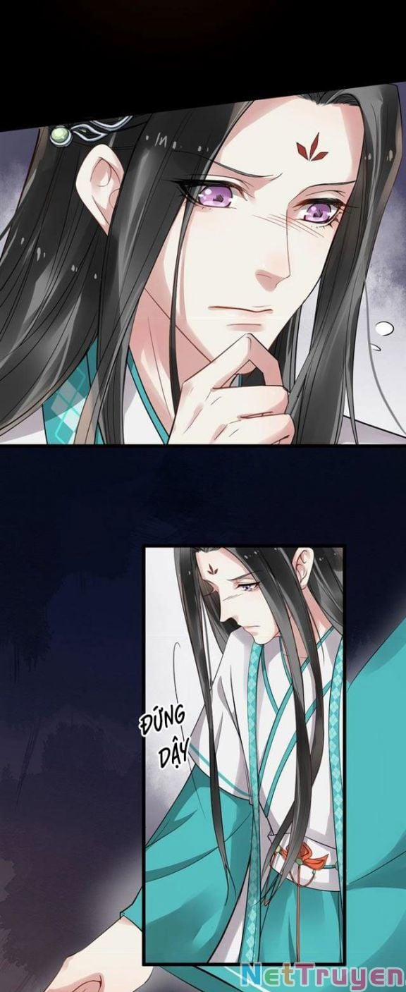 Bồng Sơn Viễn 2 31 trang 7